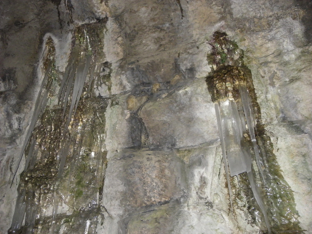 113_7366_JPG-1328564103