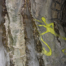 113_7367_JPG-1328564112