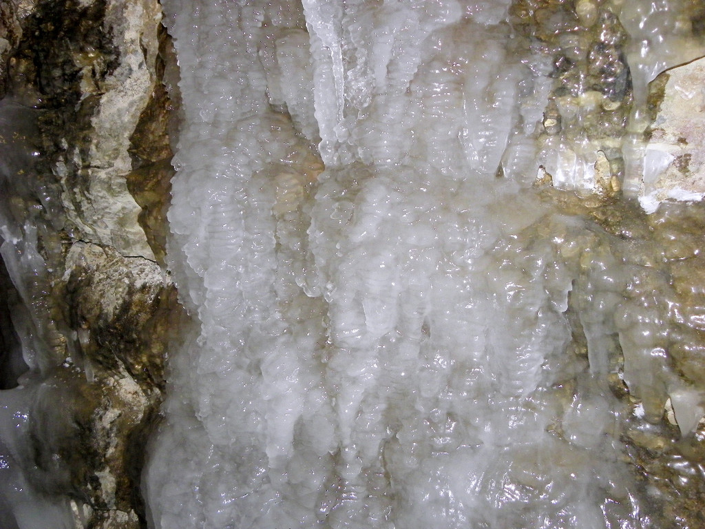 113_7369_JPG-1328564130