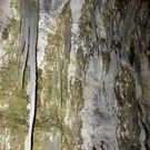 113_7368_JPG-1328564121