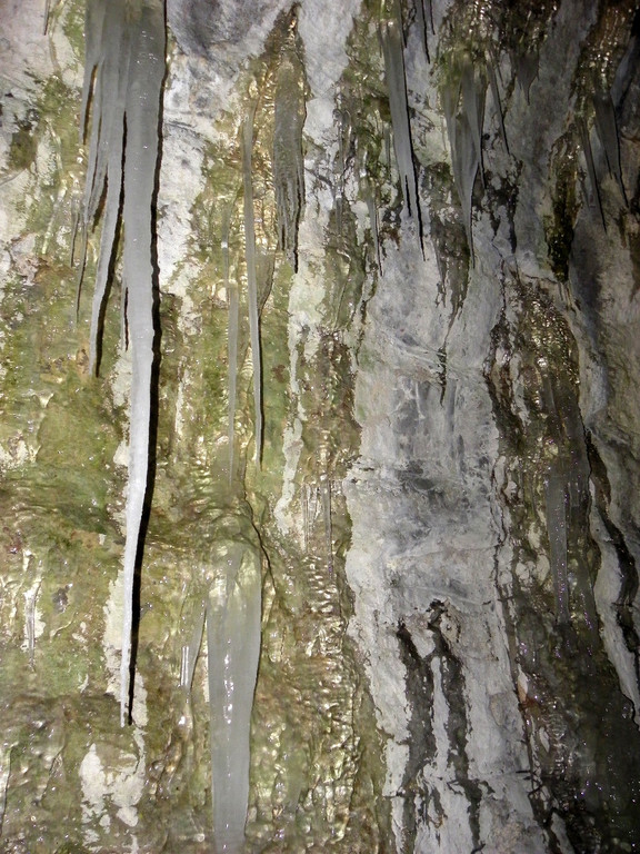 113_7368_JPG-1328564121