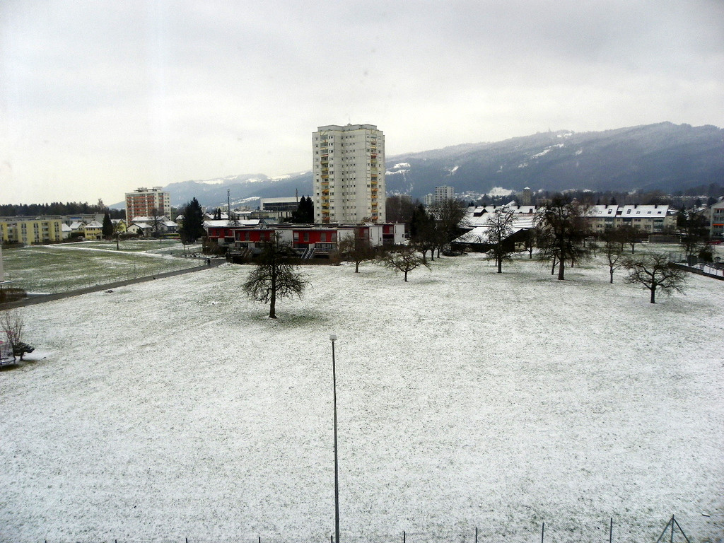 113_7185_JPG-1328564540