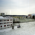 113_7186_JPG-1328564549