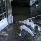 113_7594_JPG-1328565239