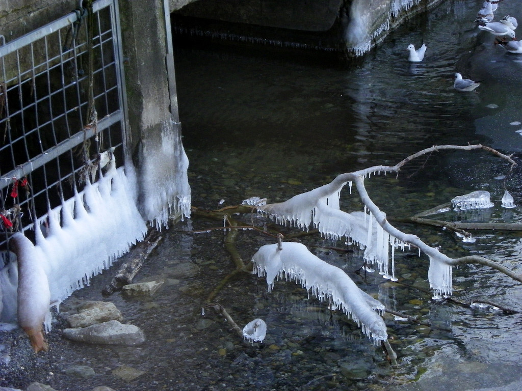 113_7594_JPG-1328565239