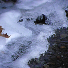 113_7628_JPG-1328565257