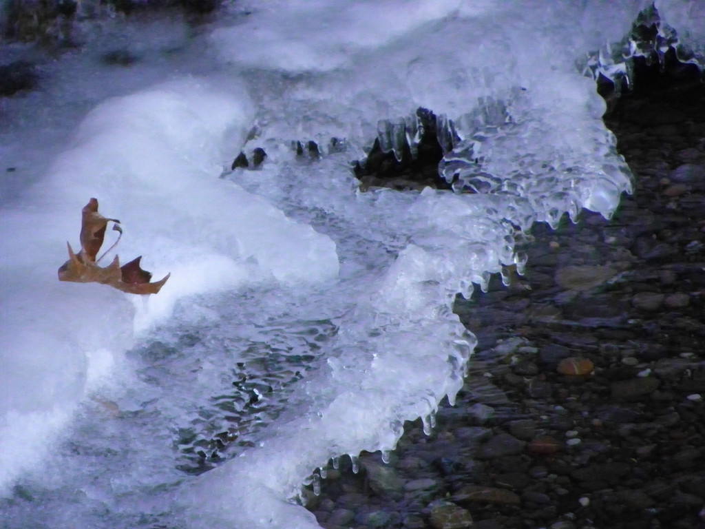 113_7628_JPG-1328565257