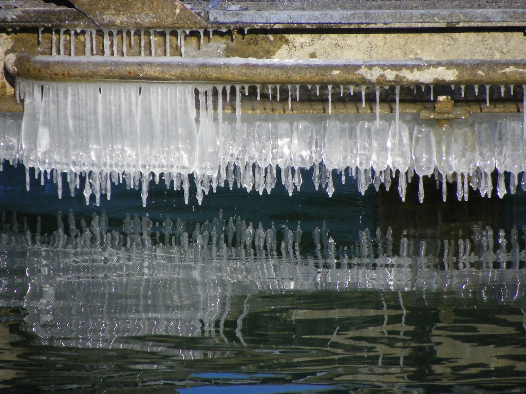 113_7638_JPG-1328565267