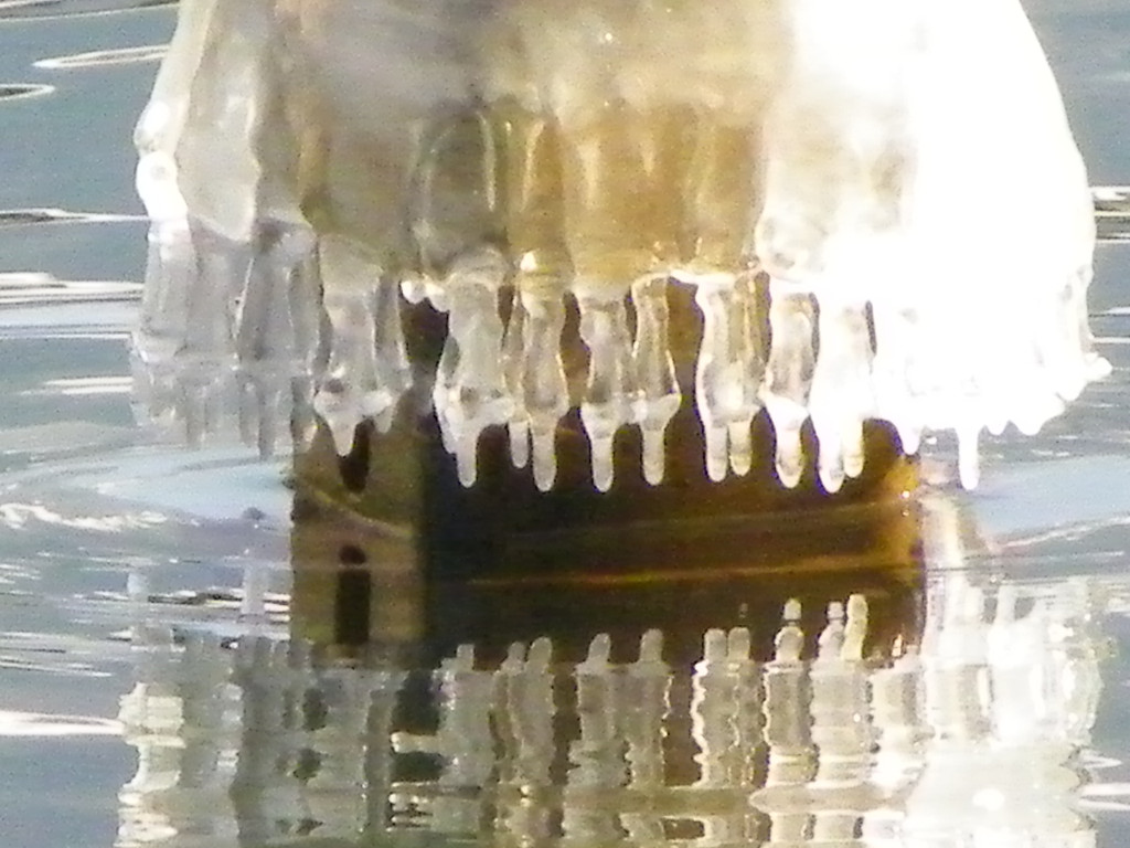 113_7642_JPG-1328565275