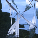 113_7650_JPG-1328565284