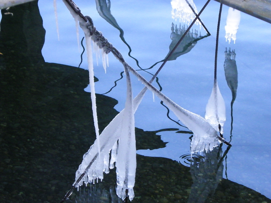 113_7650_JPG-1328565284