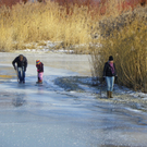 113_7665_JPG-1328565293