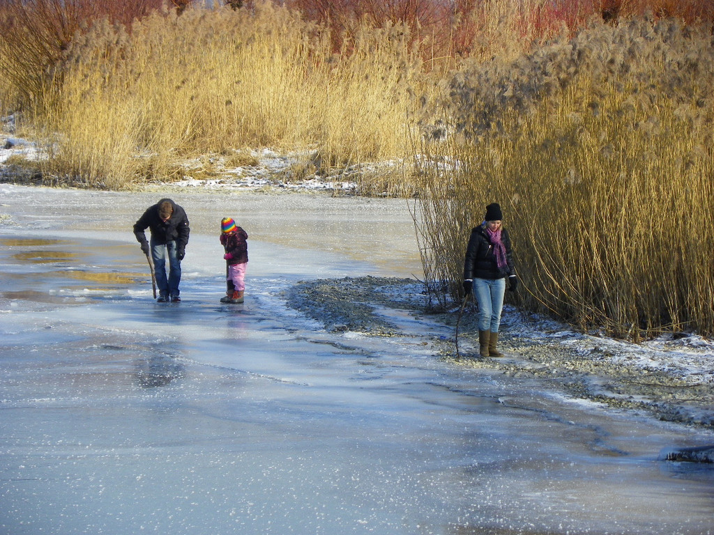 113_7665_JPG-1328565293