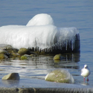 113_7684_JPG-1328565302