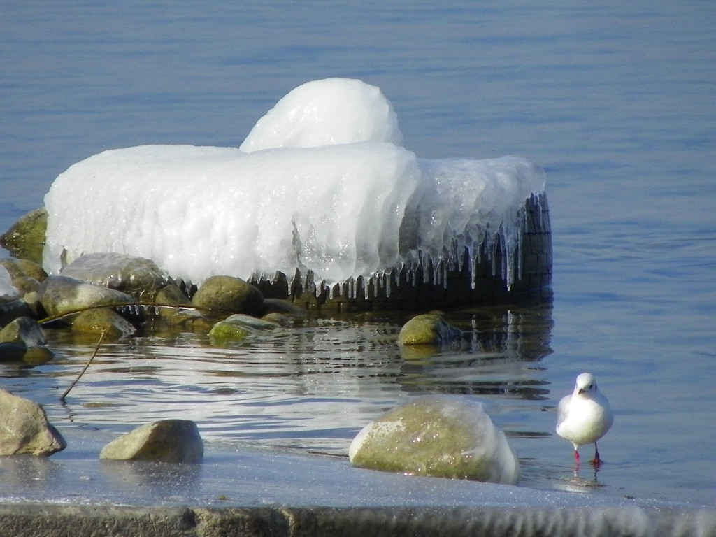 113_7684_JPG-1328565302