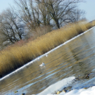 113_7721_JPG-1328565320