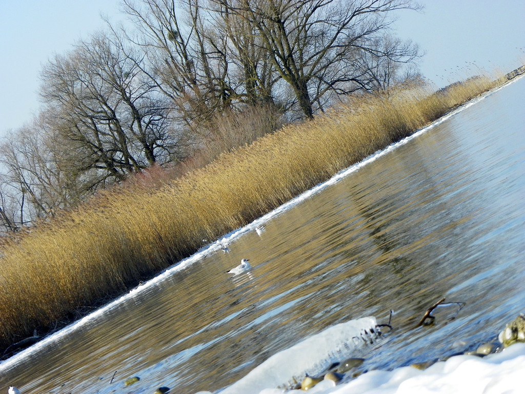 113_7721_JPG-1328565320