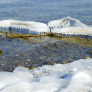 113_7725_JPG-1328565328