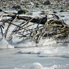 113_7727_JPG-1328565337