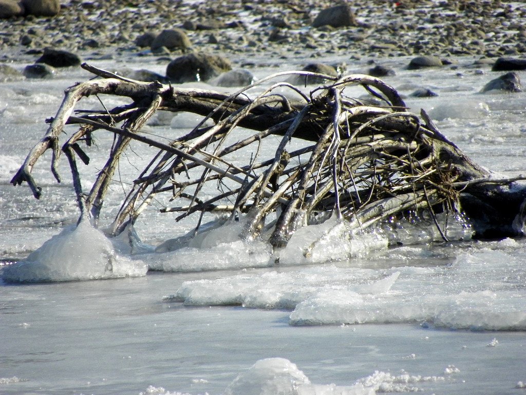 113_7727_JPG-1328565337