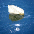 113_7784_JPG-1328565354