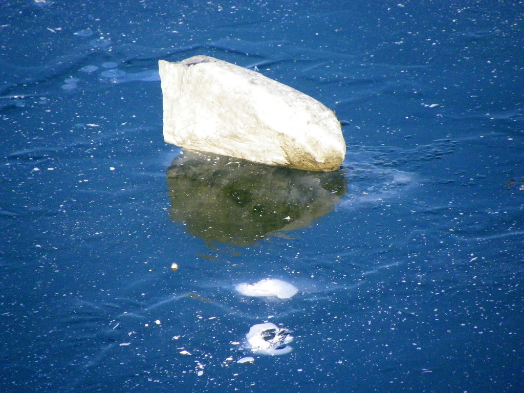 113_7784_JPG-1328565354