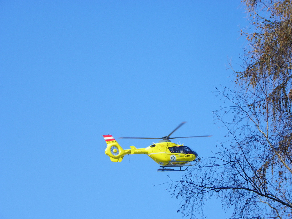 113_7535_JPG-1328566631