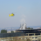 113_7537_JPG-1328566639