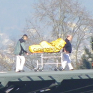 113_7552_JPG-1328566701