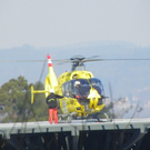 113_7558_JPG-1328566727