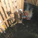 06022012_Kellerbrand WN _8_.JPG