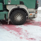 07022012_Schadstoffeinsatz Feistritz am Wechsel _3_.JPG