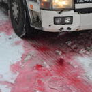 07022012_Schadstoffeinsatz Feistritz am Wechsel _5_.jpg