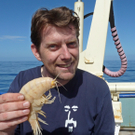 Riesen-Krebs vor Neuseeland entdeckt