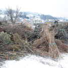 Buscheln Gai__au_jpg-1328695137