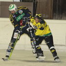Eishockey VL_jpg-1328698654