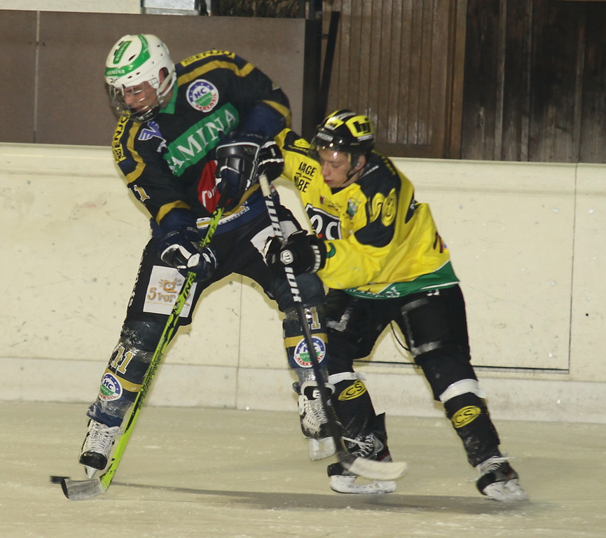 Eishockey VL_jpg-1328698654