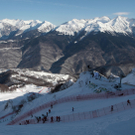 DAB1532-20120208.jpg