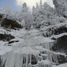 DSC02752 _1280x768_.JPG