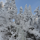 DSC02753 _1280x768_.JPG