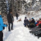 DSC07317 _1280x768_.JPG