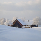 DSC07331 _1280x768_.JPG