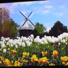 113_7770_JPG-1328831204