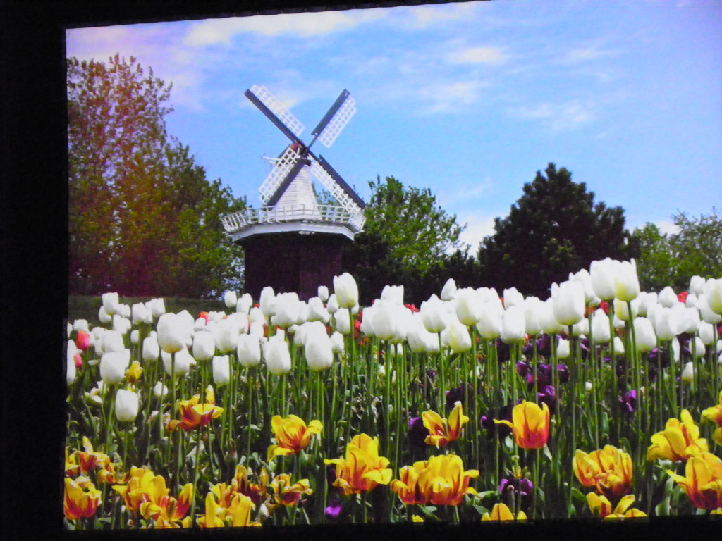 113_7770_JPG-1328831204