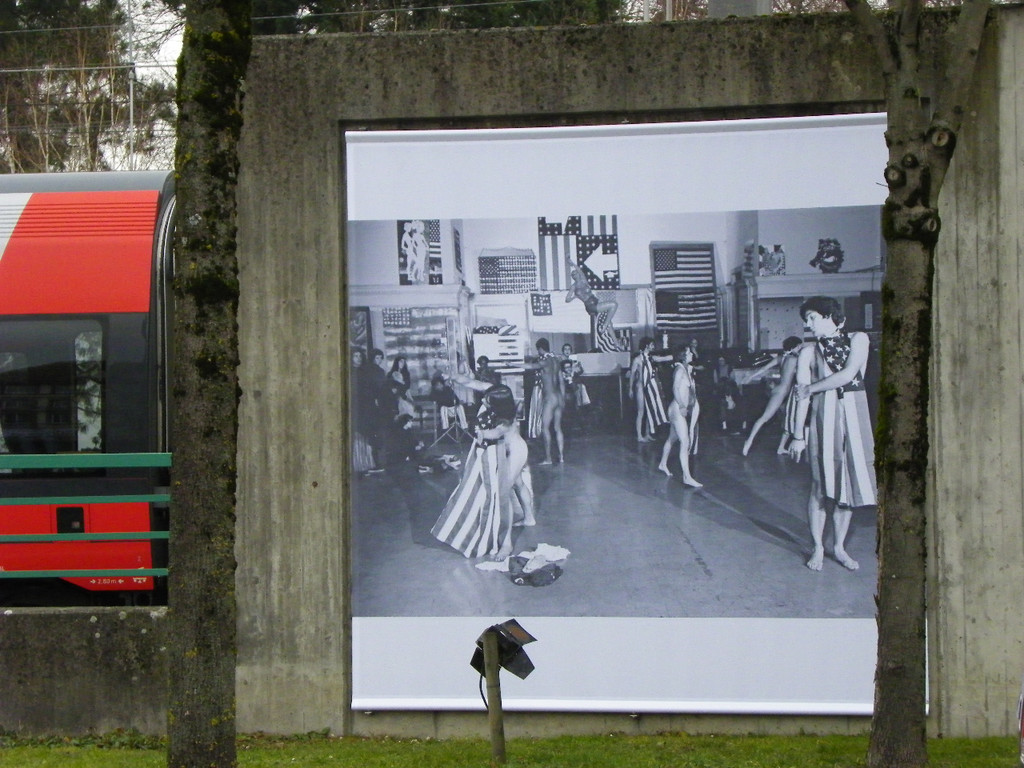 113_6963_JPG-1328831721