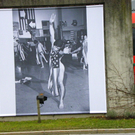 113_6965_JPG-1328831740