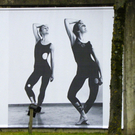 113_6971_JPG-1328831786