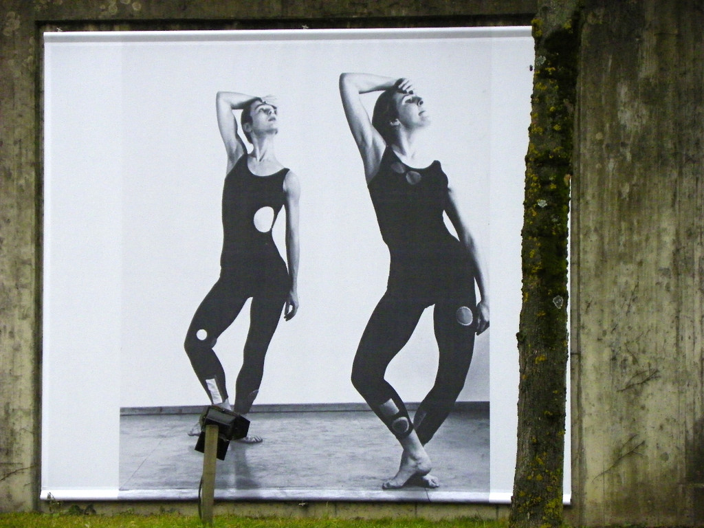 113_6971_JPG-1328831786