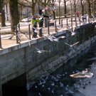 113_7593_JPG-1328834404