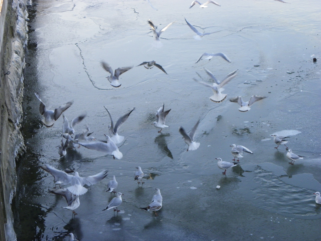 113_7580_JPG-1328834364